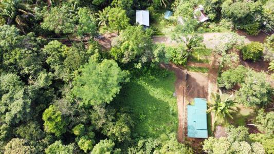 Osa, Puntarenas 00001, コスタリカ