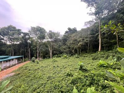 Osa, Puntarenas 00001, コスタリカ