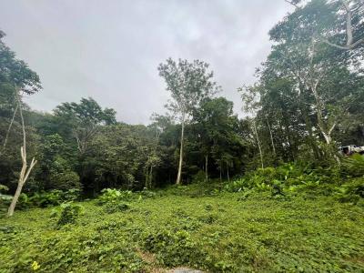 Osa, Puntarenas 00001, コスタリカ