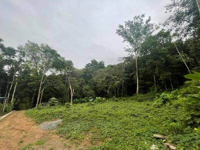 Osa, Puntarenas 00001, コスタリカ