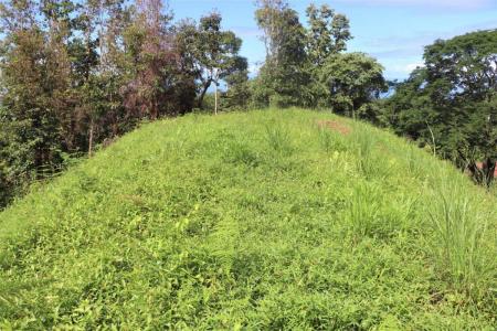 Ojochal Puerto Cortés Osa, Puntarenas 00001, 哥斯达黎加
