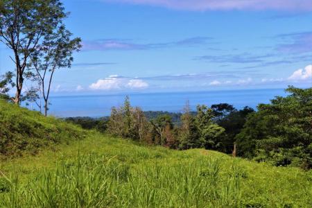 Ojochal Puerto Cortés Osa, Puntarenas 00001, 哥斯达黎加