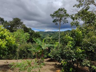Cajón Pérez Zeledón, San José 00001, Costa Rica