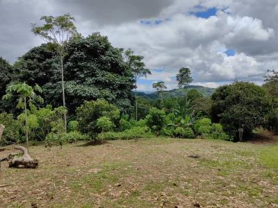 Cajón Pérez Zeledón, San José 00001, Costa Rica