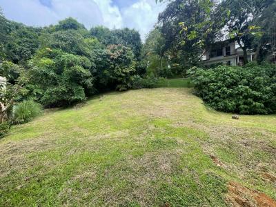 Santa Ana Santa Ana, San José 00001, Коста-Рика