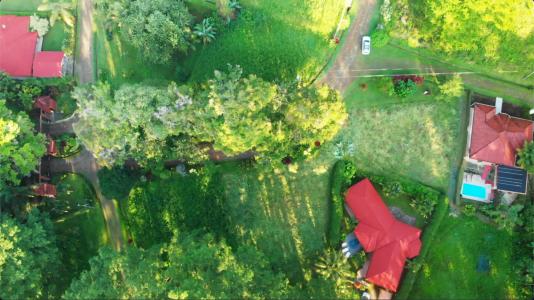 Ojochal Puerto Cortés Osa, 蓬塔雷纳斯 00001, 哥斯达黎加