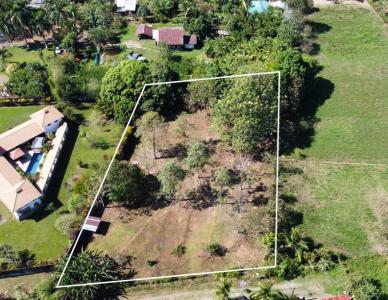 Península De Osa Puerto Jiménez Golfito, Puntarenas 00001, Costa Rica