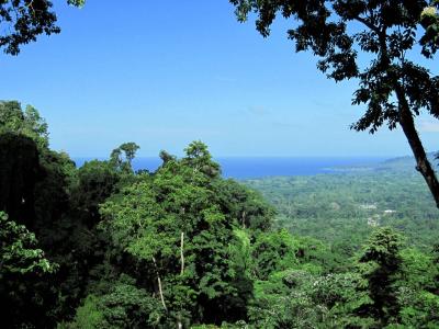 Carbon 1 Cahuita Talamanca, Limón 00001, Costa Rica