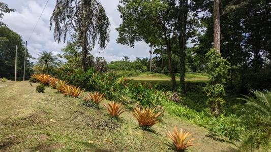 Paraíso Sixaola Talamanca, Limón 00001, 哥斯达黎加