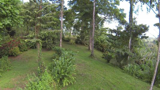 Paraíso Sixaola Talamanca, Limón 00001, Costa Rica