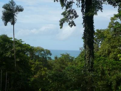 Playa Chiquita Puerto Viejo Talamanca, Limón 70403, Costa Rica