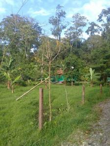 Hone Creek Cahuita Talamanca, Limón 00001, Costa Rica