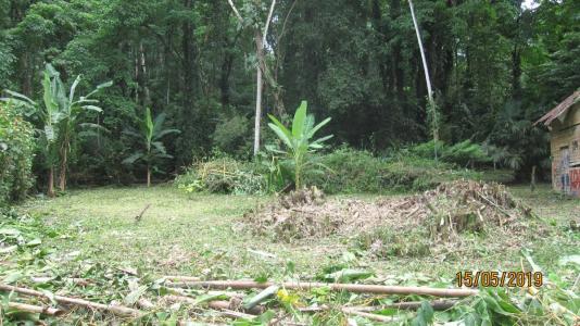 Punta Cocles Talamanca, Limón 00001, Costa Rica