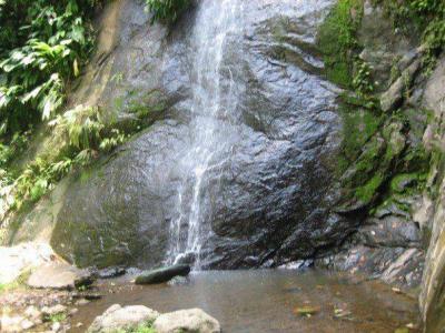 Carbon 1 Cahuita Talamanca, Limón 00001, קוסטה ריקה 