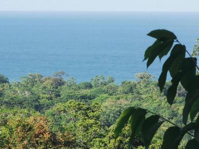 Calle Limonal Cahuita Talamanca, Limón 00001, Costa Rica