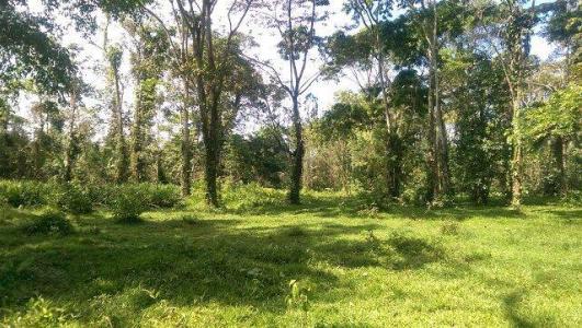 Cahuita Talamanca, Limón 00001, Costa Rica