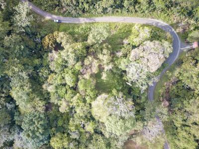 Paraíso Sixaola Talamanca, Limón 00001, 哥斯达黎加