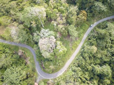Paraíso Sixaola Talamanca, Limón 00001, 哥斯达黎加