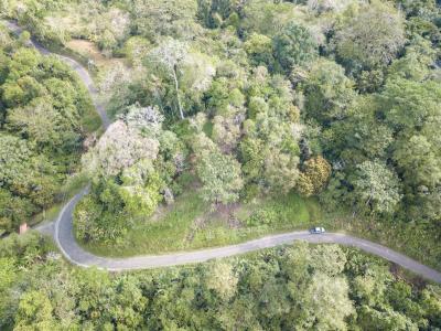 Paraíso Sixaola Talamanca, Limón 00001, 哥斯达黎加