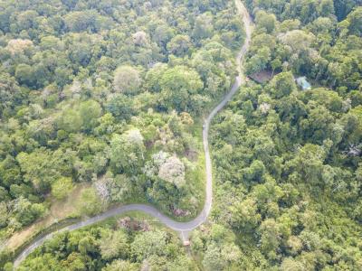 Paraíso Sixaola Talamanca, Limón 00001, 哥斯达黎加