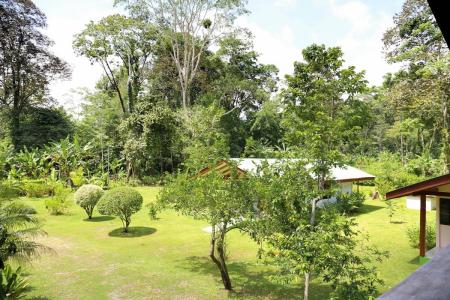 Cahuita Talamanca, Limón 00001, Costa Rica