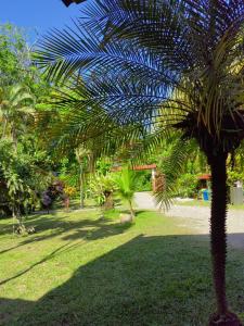 Cahuita Talamanca, Limón 70403, Коста-Рика