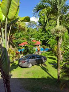 Cahuita Talamanca, Limón 70403, Costa Rica