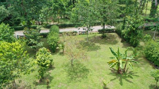 Cahuita Talamanca, Limón 00001, Коста-Рика