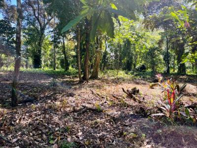 Puerto Viejo Playa Negra Cahuita Talamanca, Limón 70403, Коста-Рика