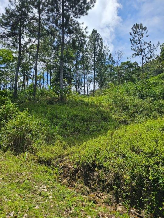 Pavones Turrialba, Cartago 00001, Costa Rica