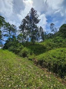 Pavones Turrialba, Cartago 00001, Costa Rica
