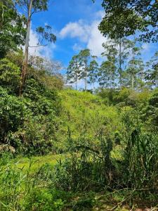 Pavones Turrialba, Cartago 00001, Costa Rica