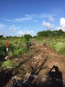 Carretera Cafetal-Mahahual Km 55,, Othon P Blanco, Quintana Roo 77940, México