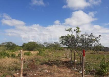 Carretera Cafetal-Mahahual Km 55,, Othon P Blanco, Quintana Roo 77940, México