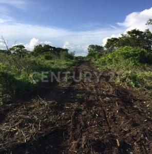 Carretera Cafetal-Mahahual Km 55,, Othon P Blanco, Quintana Roo 77940, México