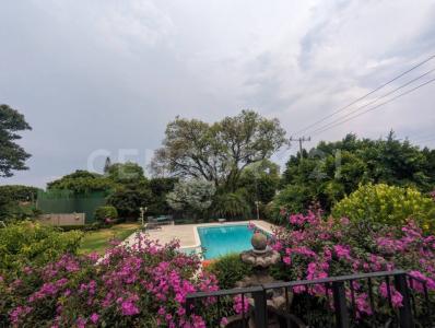 Laureles 101,, Cuernavaca, Morelos 62305, Mexique