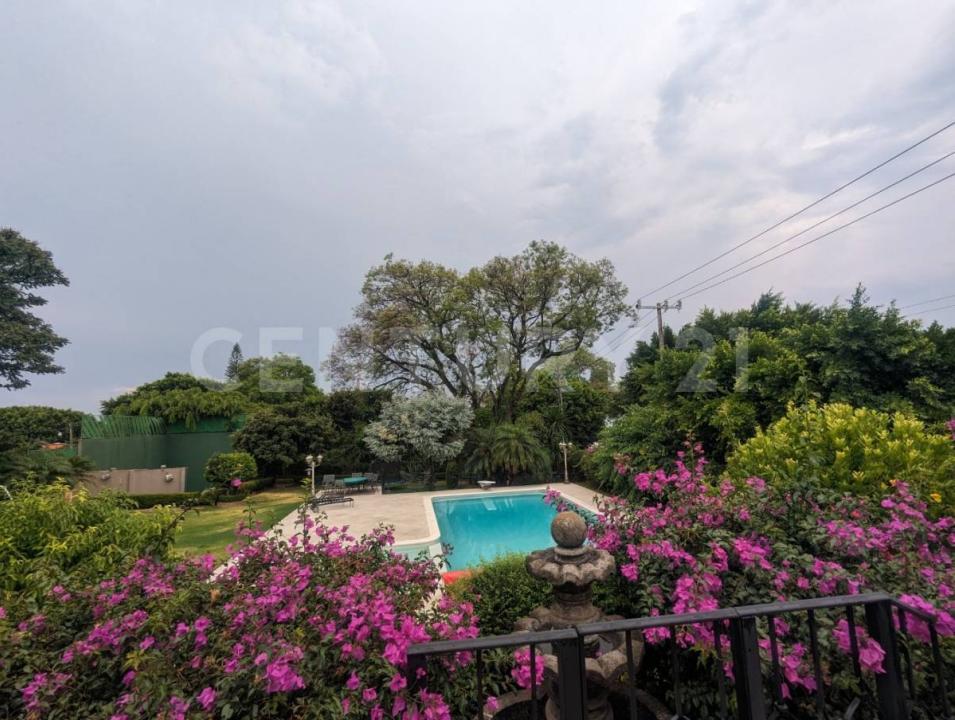 Laureles 101,, Cuernavaca, Morelos 62305, México