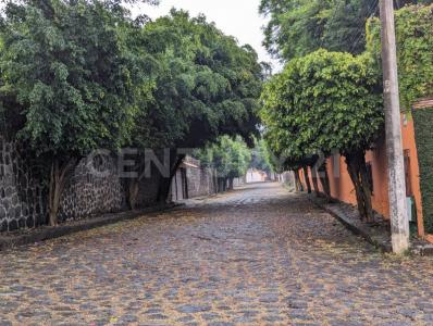 Laureles 101,, Cuernavaca, Morelos 62305, México