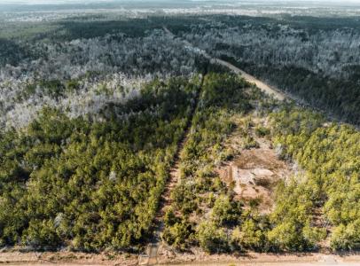 1150 Alston Cemetery Rd., Ragley, Louisiana 70657