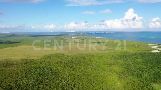 Cancún/Benito Juárez, Quintana Roo 77505, Mexico