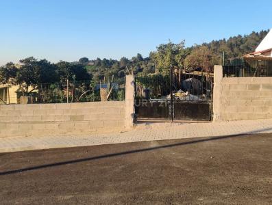 Vila Franca De Xira, Lisbon 2615-249, Portugal