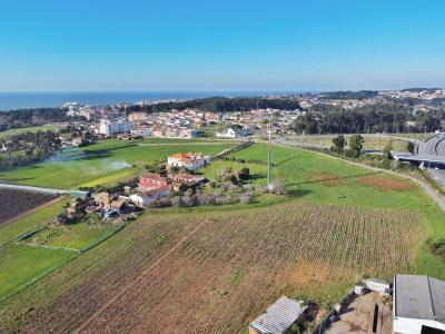 Vila Nova De Gaia, Porto 4410-220, Portugal