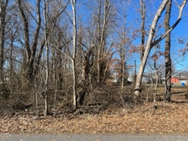 0 Hickory Street, La Center, Kentucky 42056, Estados Unidos