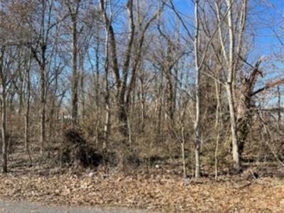 0 Hickory Street, La Center, Kentucky 42056, Estados Unidos