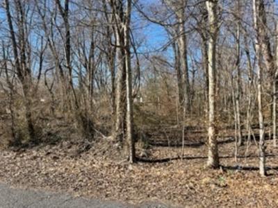 0 Hickory Street, La Center, Kentucky 42056, Estados Unidos