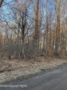 Shawnee Pl A 8, Pocono Lake, Pensilvania 18347, Estados Unidos
