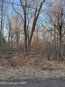 Shawnee Pl A 8, Pocono Lake, Pensilvania 18347, Estados Unidos