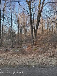 Shawnee Pl A 8, Pocono Lake, Pensilvania 18347, Estados Unidos