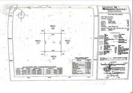 1 1,, Puerto Morelos, Quintana Roo 77580, México