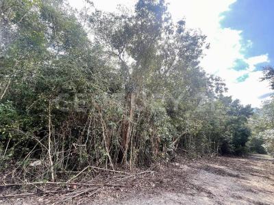 1 1,, Puerto Morelos, Quintana Roo 77580, Mexico
